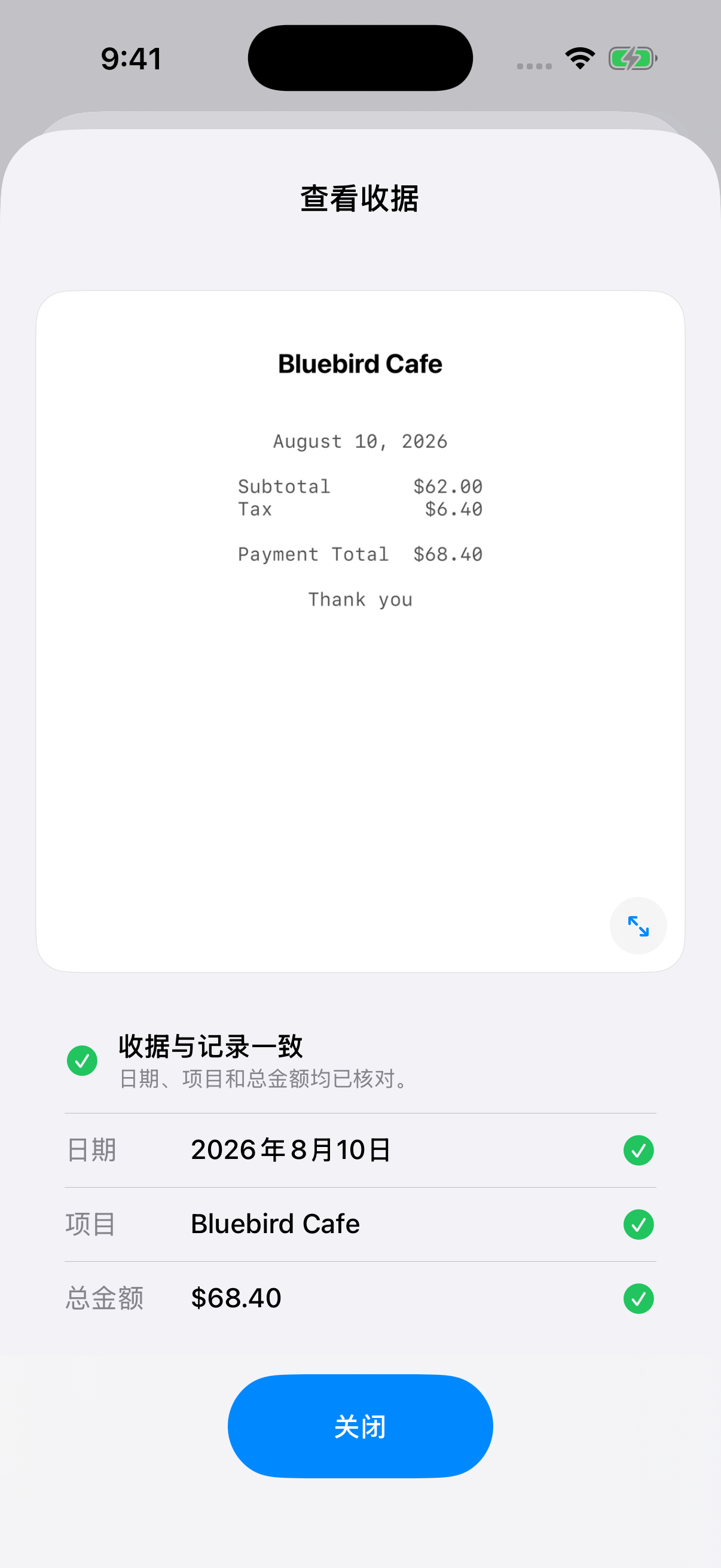 查看完整 App 截图: 日期、项目和金额全部一致